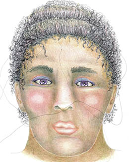 Famly of Humans by Linda Louis